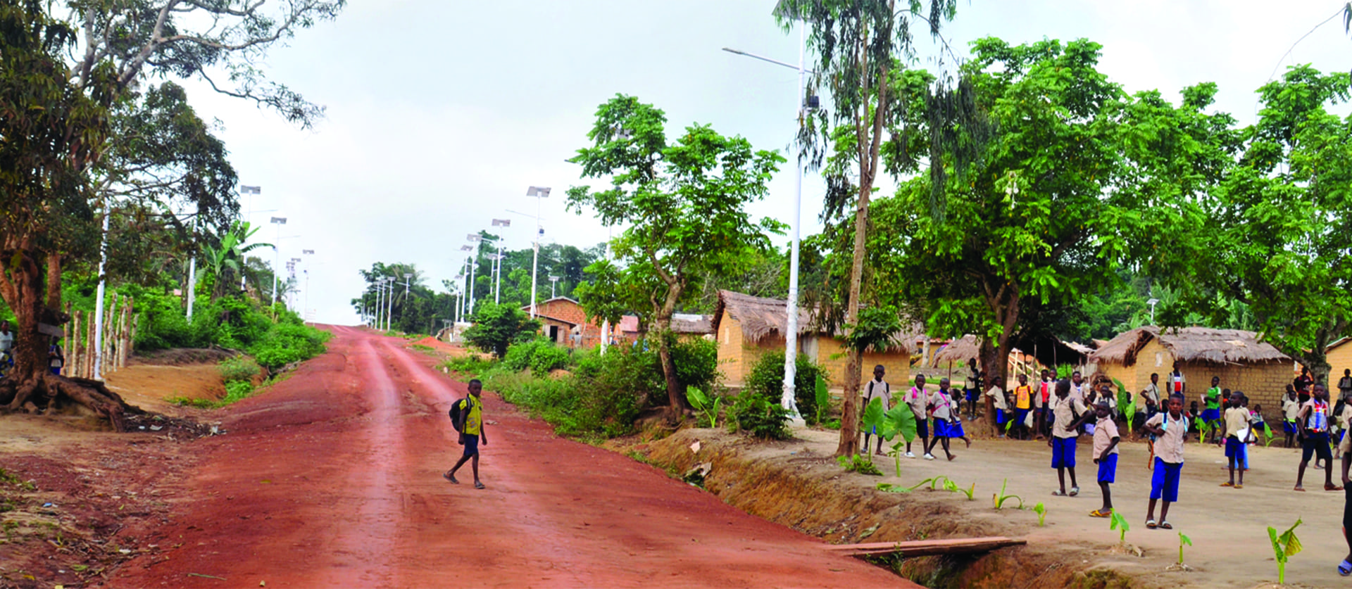 Distribution et Electrification Rurale